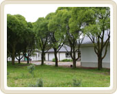 Pic 1